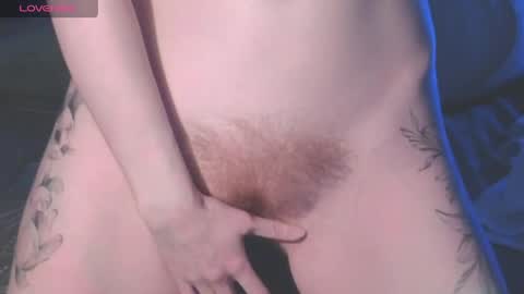 . online show from April 10, 2026, 3:17 pm