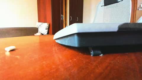 BananaBoy online show from February 6, 2025, 9:43 am