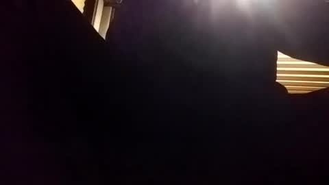 baobabtree8 online show from December 24, 2024, 2:10 am