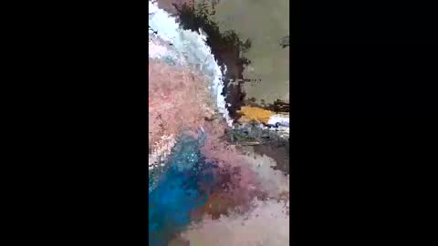 barbitall online show from January 13, 2026, 8:03 pm