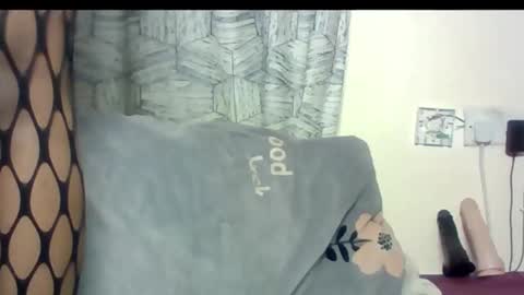 barbs765700 online show from December 3, 2025, 8:45 am