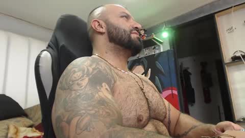 bardock online show from December 19, 2024, 2:23 am