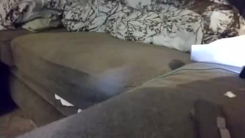 barrett4200 online show from January 20, 2025, 12:15 am