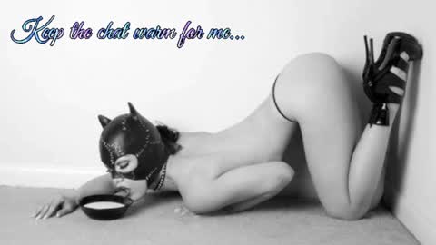 Snapshot of batmansfavoritewife chatting on July 11, 2026, 2:36 am Your always sexy Harley online show from July 11, 2026, 2:36 am