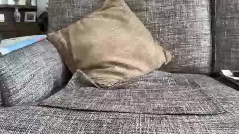 Snapshot of baykiwi54 chatting on February 11, 2026, 10:26 pm baykiwi54 online show from February 11, 2026, 10:26 pm