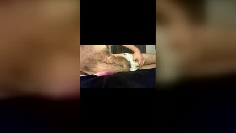 Snapshot of baz73 chatting on January 18, 2026, 11:52 pm Baz online show from January 18, 2026, 11:52 pm