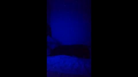 Snapshot of bazzjosh chatting on April 12, 2026, 3:55 am Josh Dell online show from April 12, 2026, 3:55 am
