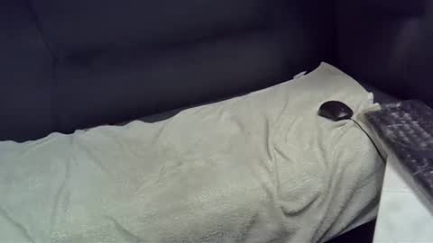 Snapshot of bbc_highness chatting on February 21, 2025, 9:11 pm bbc_highness online show from February 21, 2025, 9:11 pm