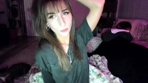 Snapshot of bbshasta chatting on June 1, 2026, 7:10 am Shasta online show from June 1, 2026, 7:10 am