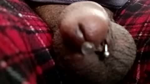 bcfalcon69 online show from February 23, 2026, 6:49 pm