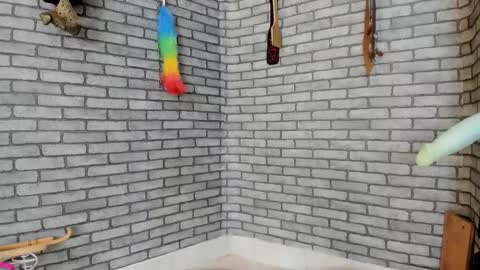 Meduza  online show from November 29, 2025, 3:48 pm