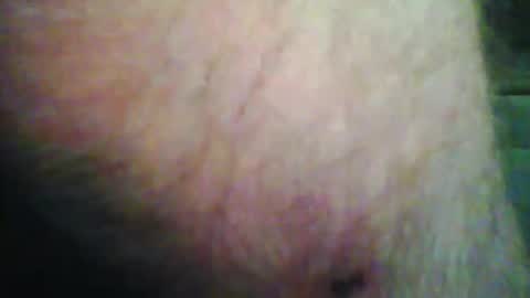 beanwright26 online show from November 15, 2025, 9:39 am