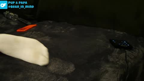 BareBear online show from April 22, 2026, 1:19 am