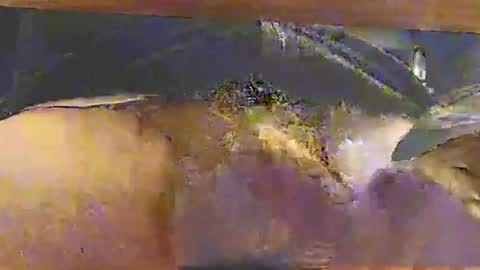 bebbi78022 online show from October 26, 2025, 3:34 am