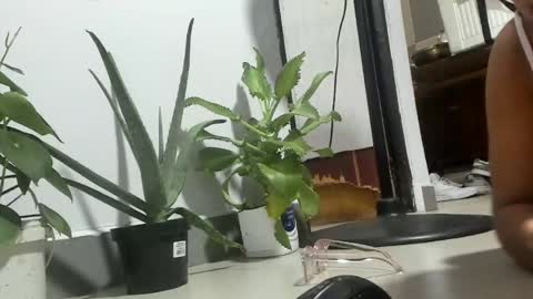 bebesita online show from April 11, 2026, 2:27 am