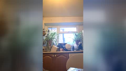 Snapshot of beefyting chatting on June 24, 2026, 7:46 pm zeef online show from June 24, 2026, 7:46 pm