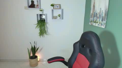 Bel 3 online show from February 1, 2025, 11:43 am