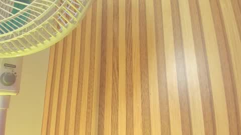 Melanie  online show from February 13, 2026, 10:33 am