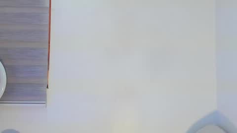 Snapshot of bella_hadid1_ chatting on April 29, 2026, 6:14 pm Laura online show from April 29, 2026, 6:14 pm