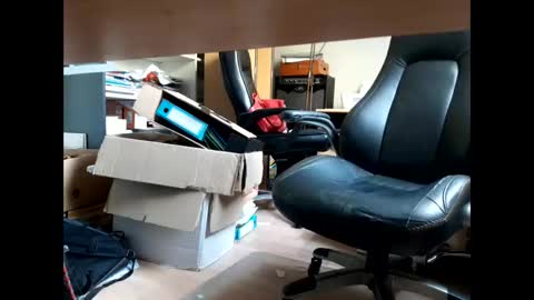 Bellebate online show from April 23, 2026, 1:13 pm