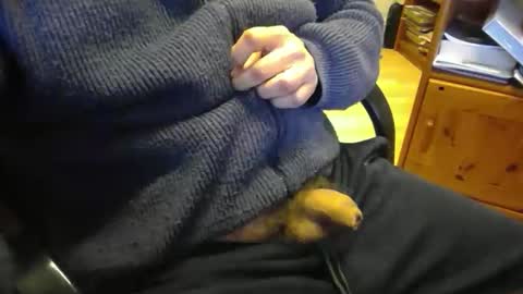 jaimetout online show from April 21, 2026, 12:33 pm