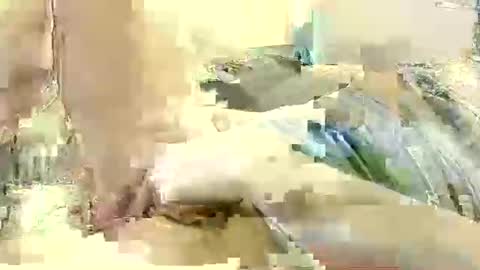 Benutzmich0800 online show from December 8, 2024, 11:19 pm