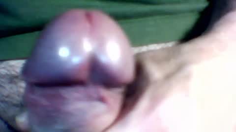 bersekbek online show from May 12, 2026, 12:19 am