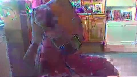 bestmann979994 online show from March 1, 2026, 4:20 pm