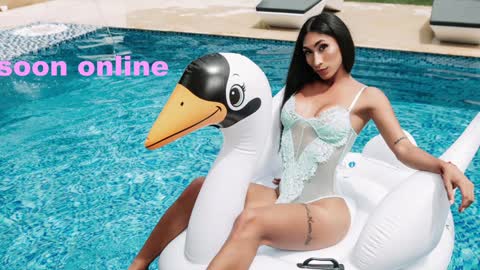 Nicolle Aviles online show from December 31, 2024, 7:53 am