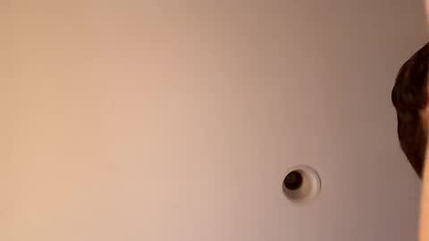 bgiamba21 online show from October 16, 2025, 3:40 am