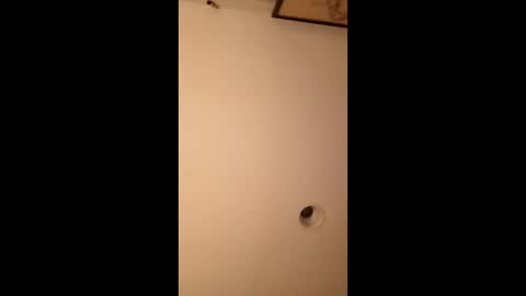 bgiamba21 online show from March 14, 2026, 6:19 am