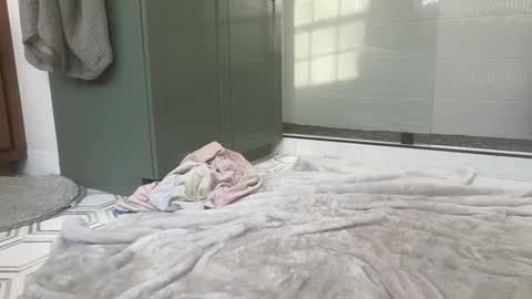 Snapshot of bi3269 chatting on March 25, 2026, 10:05 pm bi3269 online show from March 25, 2026, 10:05 pm