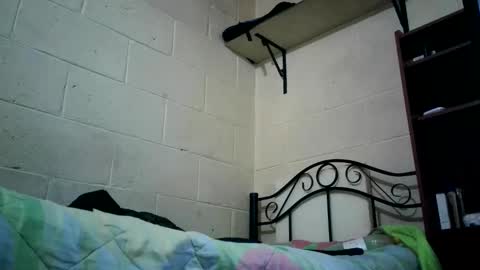 bichopeludo online show from October 6, 2025, 12:08 am