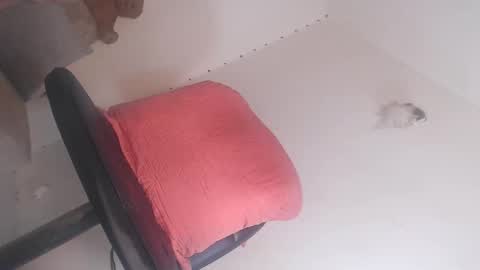 dashiell online show from March 21, 2026, 3:48 pm