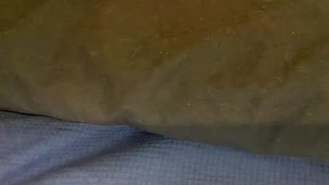 bigboii842 online show from November 15, 2025, 4:36 pm