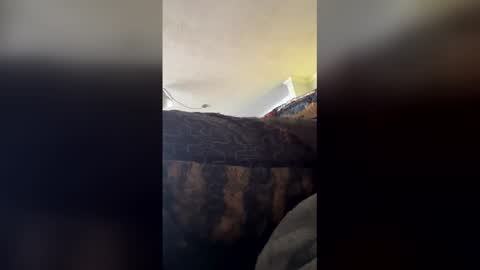 bigbossforsirius online show from May 19, 2026, 2:34 pm