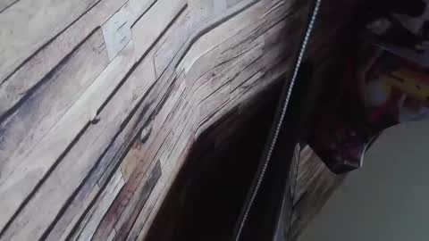 Bigboyband online show from December 27, 2024, 8:56 am