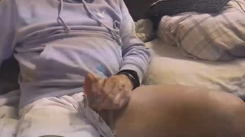 L e g a l    S t u f f Any UNAUTHORIZED use of this profile video pictures or audio in any form or in a forum now or in the fu online show from March 3, 2025, 4:58 am