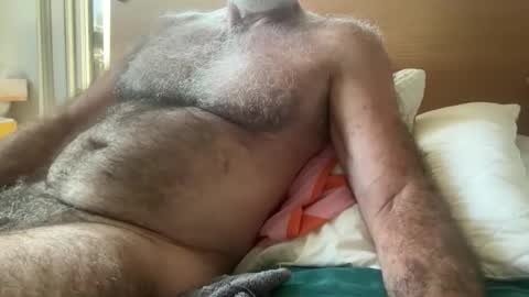 big bush online show from March 11, 2026, 3:01 am