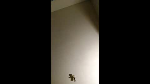 bigchorizo18 online show from April 2, 2026, 5:16 am