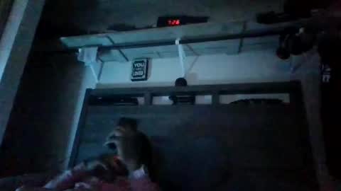 bigdickdaddy3200798456 online show from December 28, 2024, 1:08 am