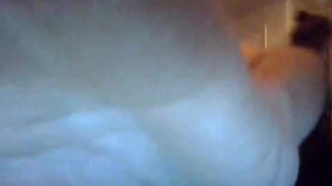 bigdickdaddy7201979564868 online show from September 22, 2025, 7:10 am