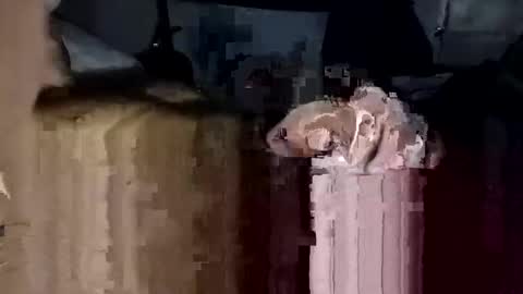 bigdickdaddy7201979564868 online show from November 23, 2025, 2:17 pm