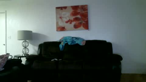 Snapshot of bigdickjimmywill chatting on May 12, 2026, 7:38 am CAJEinc online show from May 12, 2026, 7:38 am