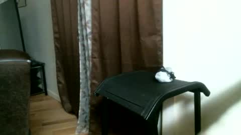 Snapshot of bigdickjimmywill chatting on May 17, 2026, 12:01 pm CAJEinc online show from May 17, 2026, 12:01 pm