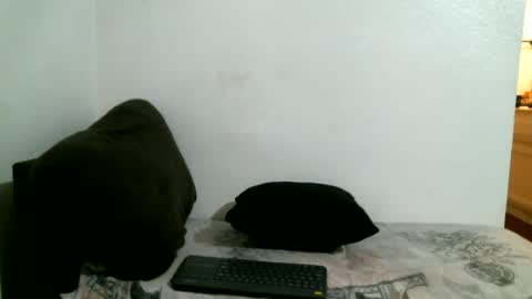 Snapshot of bigdickjimmywill chatting on July 4, 2026, 8:31 am CAJEinc online show from July 4, 2026, 8:31 am
