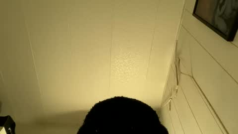 bigdickywn online show from July 5, 2026, 4:30 am