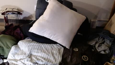 Bigandthick online show from January 10, 2025, 7:46 am