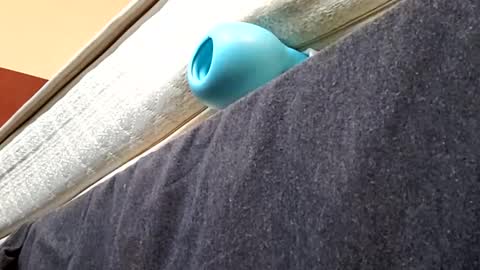 biggdaddyy5 online show from January 21, 2025, 2:05 pm