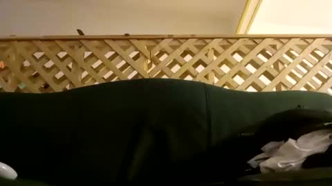 biggestboiiii online show from January 28, 2025, 3:04 am